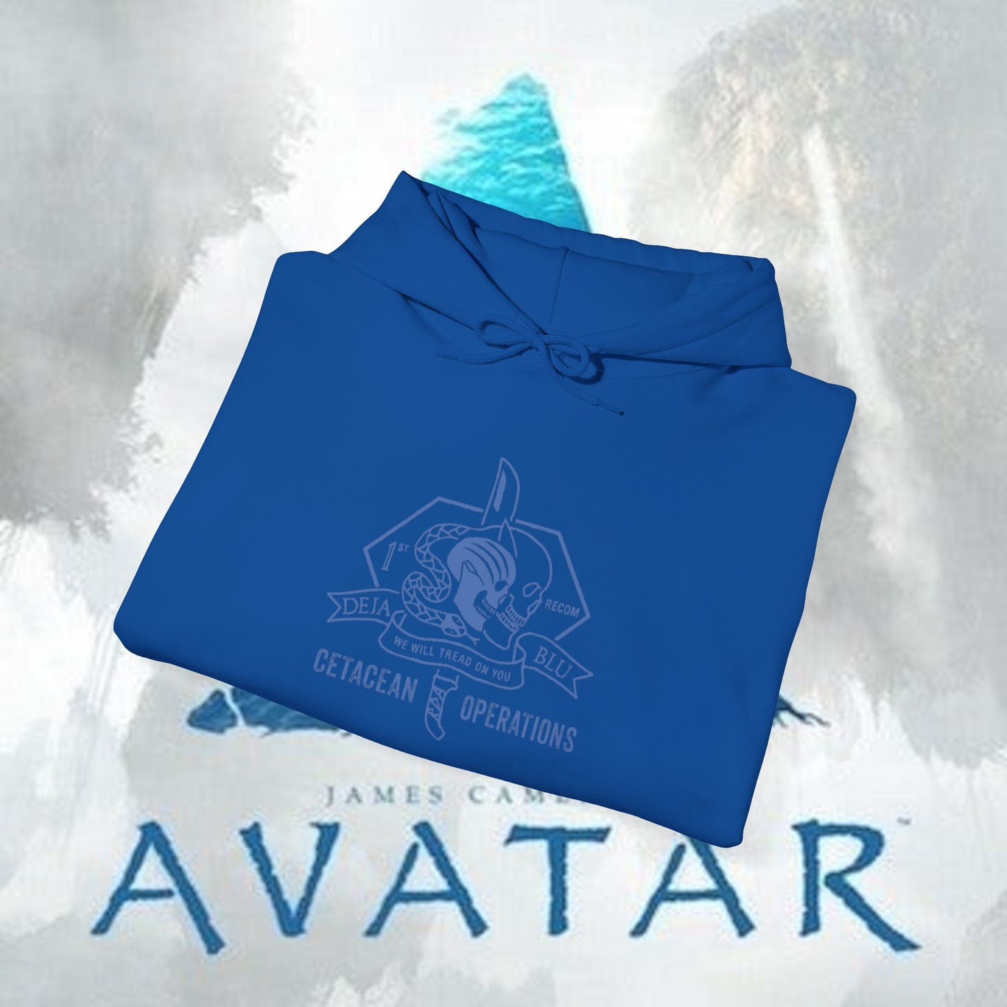 Recom 1 Hoodie — Avatar Graphic Pullover