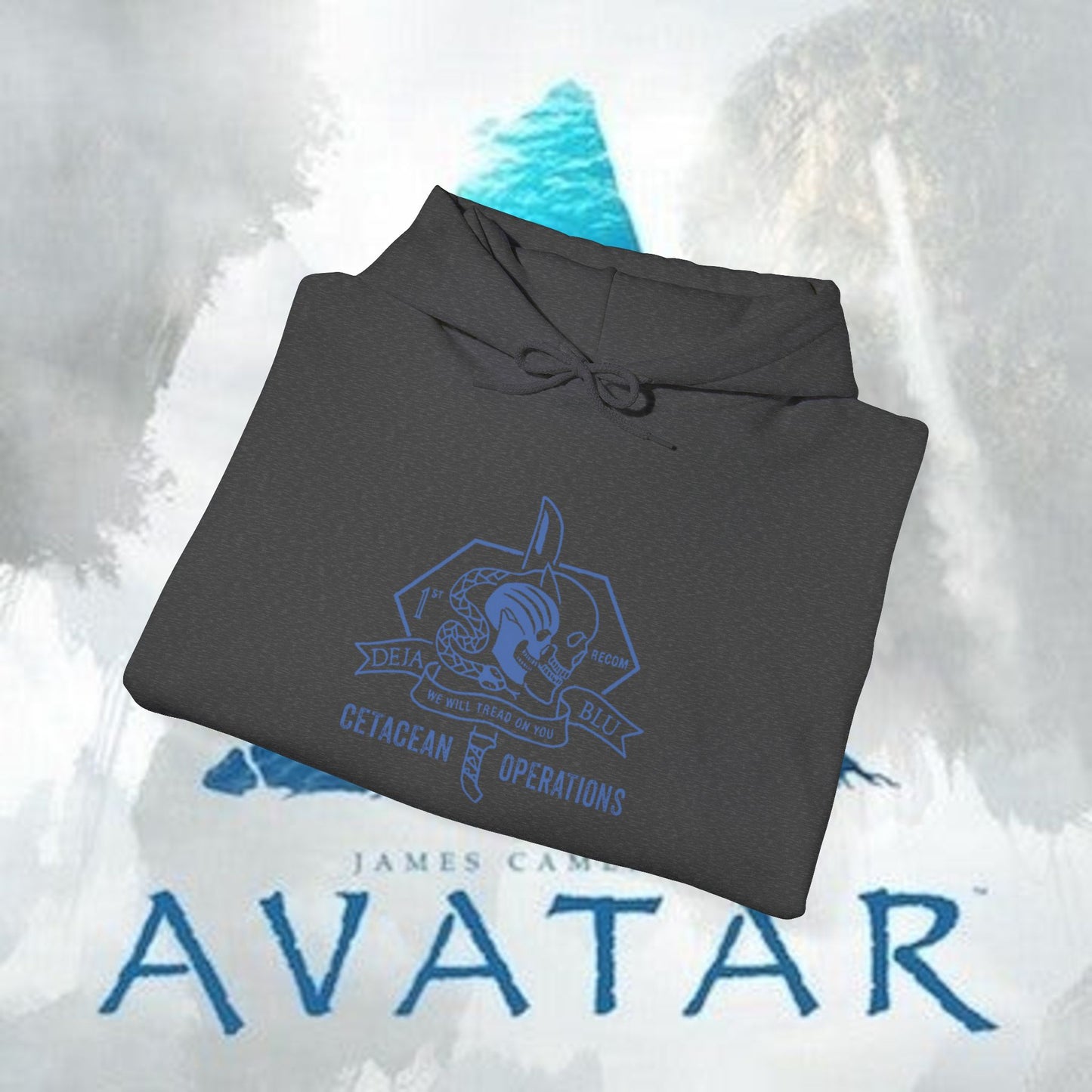 Recom 1 Hoodie — Avatar Graphic Pullover
