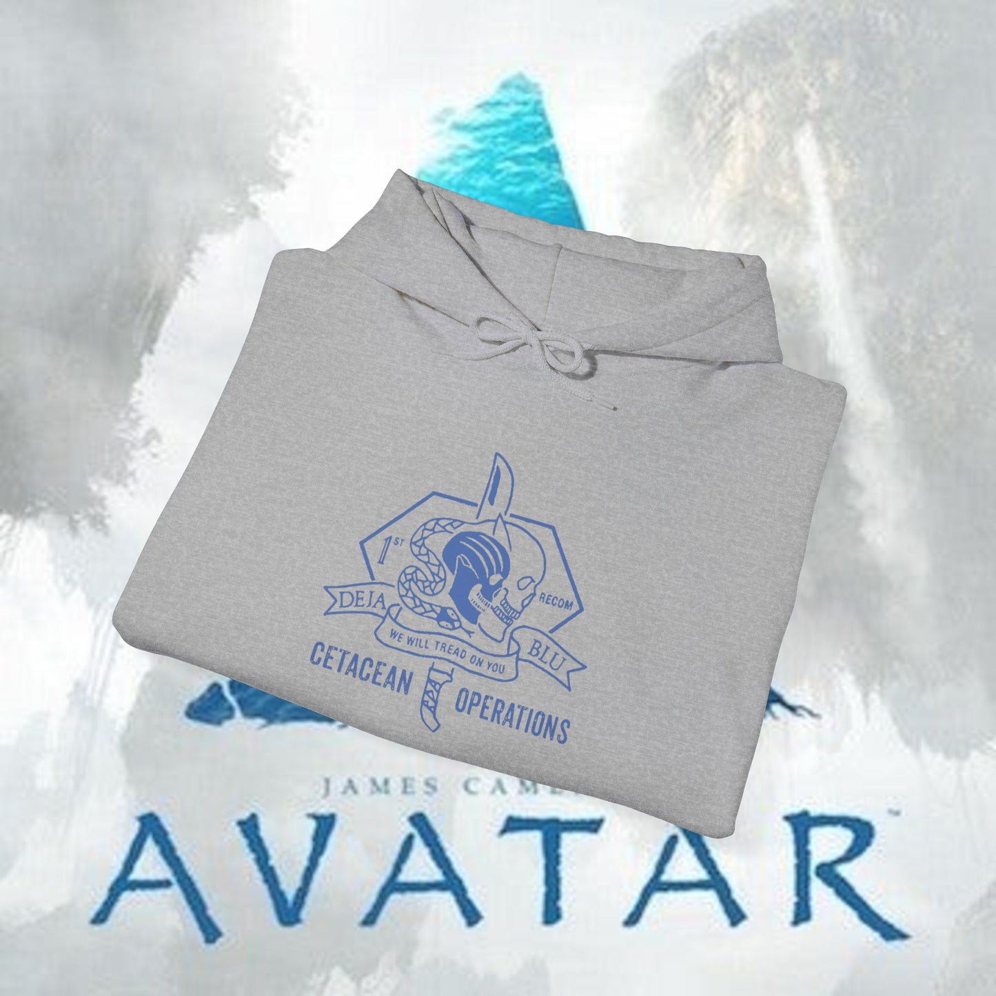 Recom 1 Hoodie — Avatar Graphic Pullover
