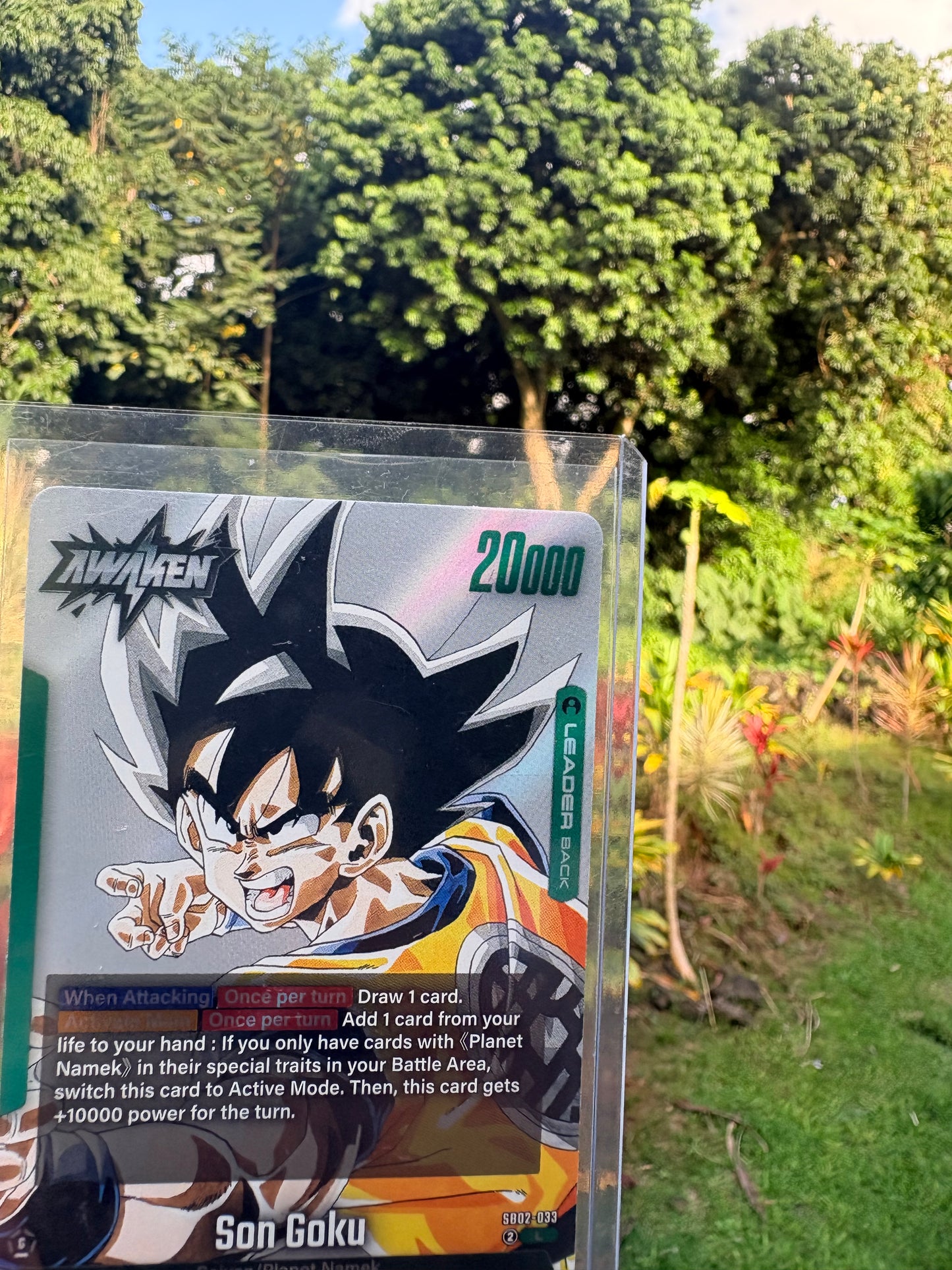 Awaken Son Goku