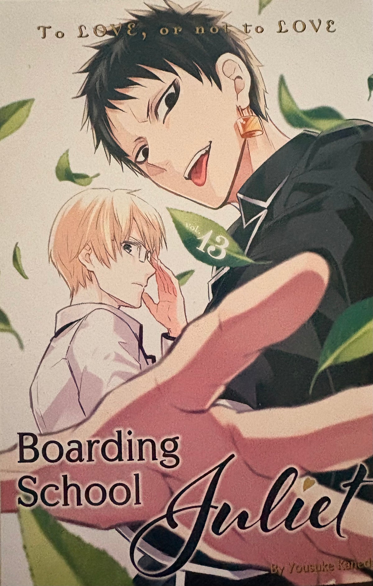 Boarding School Juliet Manga Series