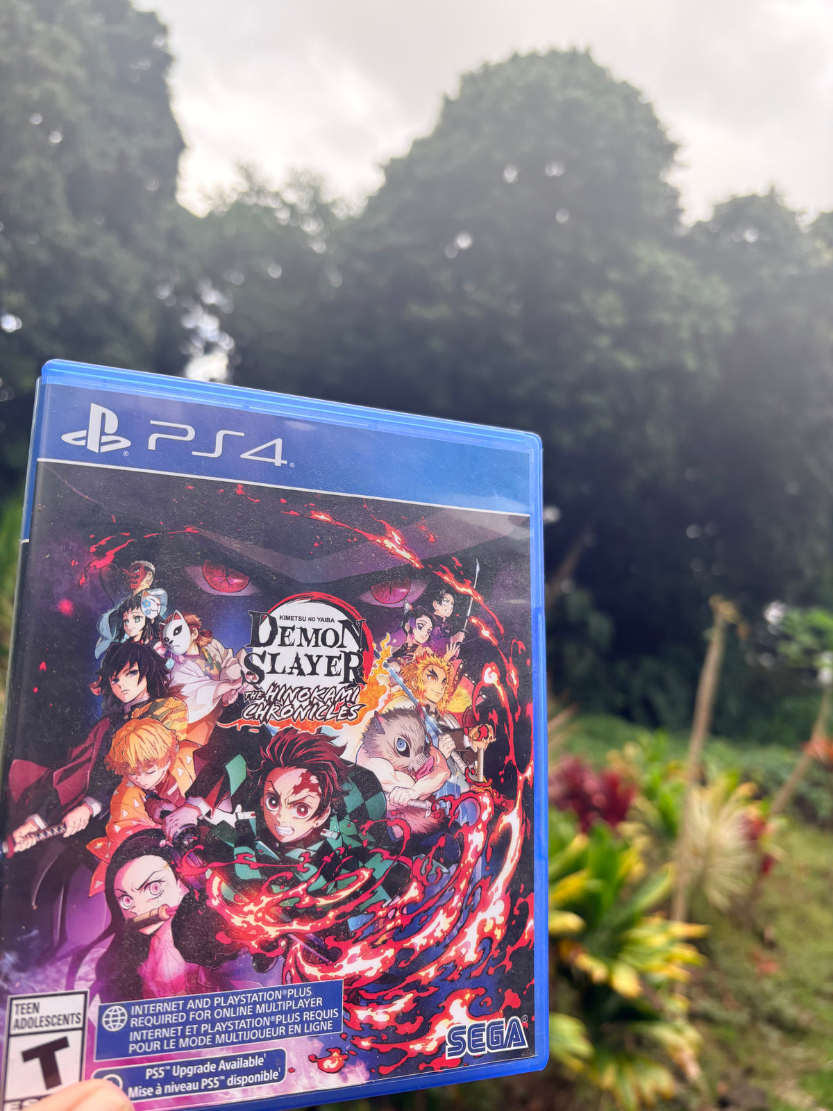 Demon slayer hinokami chronicles PS4