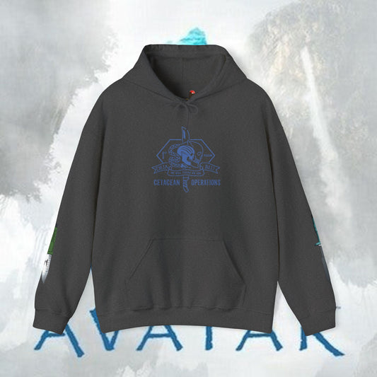 Recom 1 Hoodie — Avatar Graphic Pullover