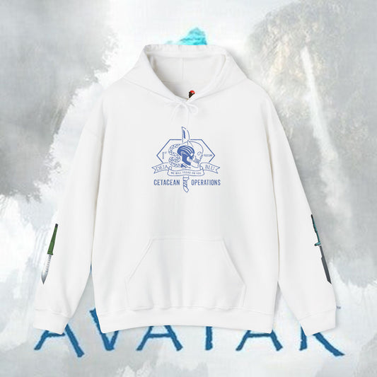 Recom 1 Hoodie — Avatar Graphic Pullover