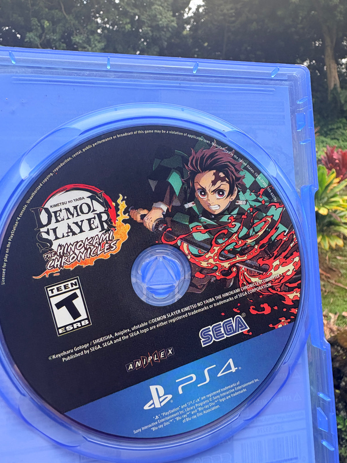 Demon slayer hinokami chronicles PS4