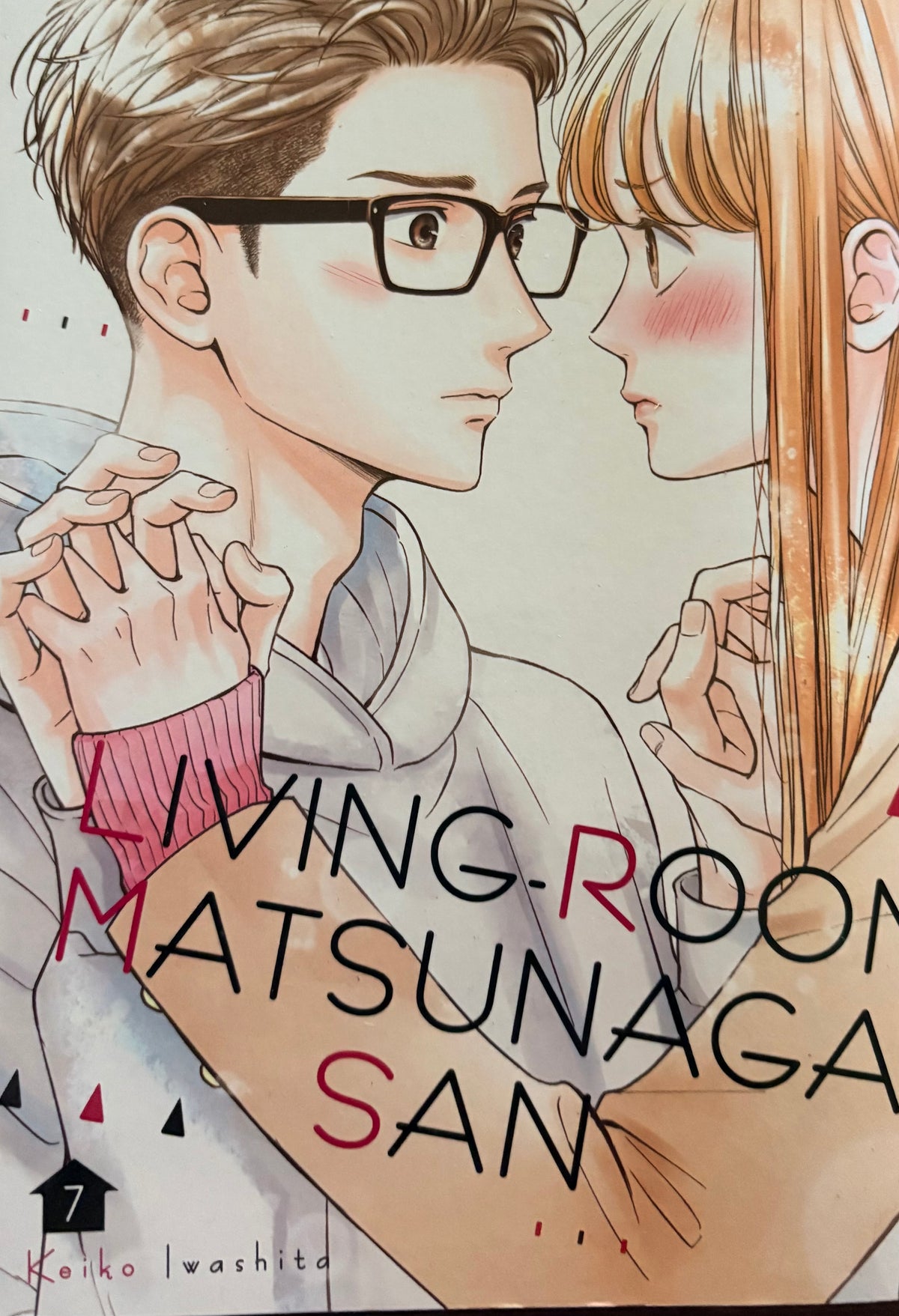 Living Room Matsunaga-San Manga Series